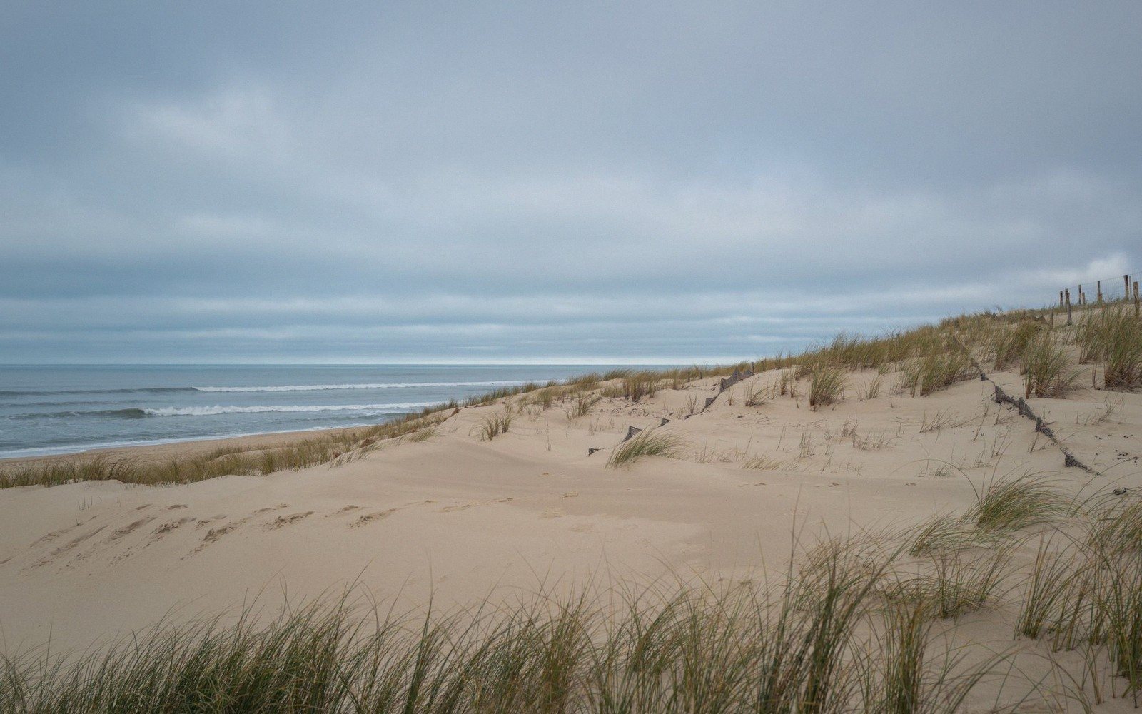 Long sandy beach under low cloud with marram grass