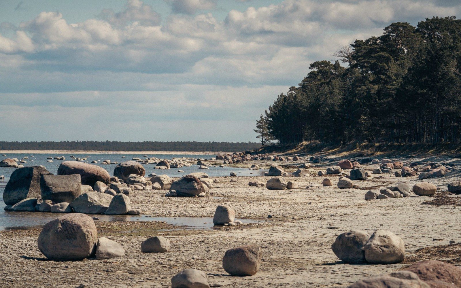 Chalk and boulder shoreline under low cloud