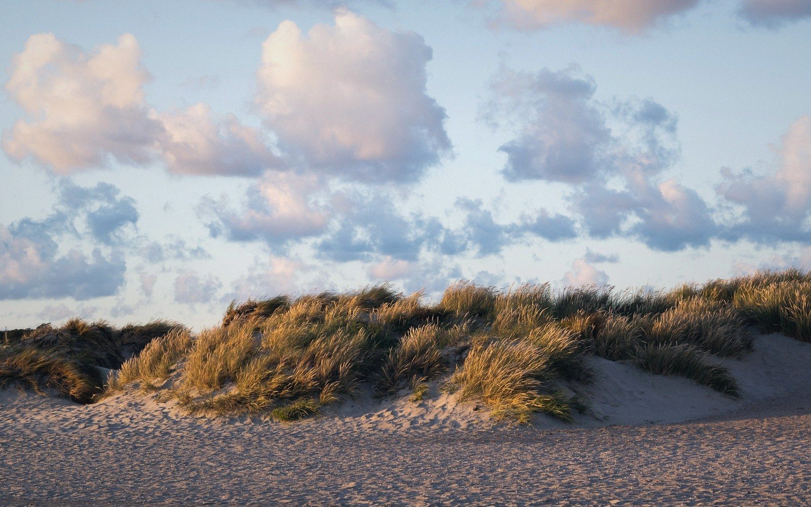 Where the Coast Turns to Sand