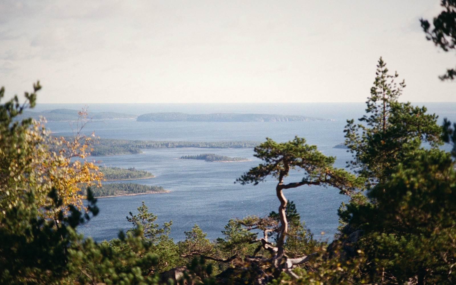 Stenshuvud, Where the Forest Meets the Sea